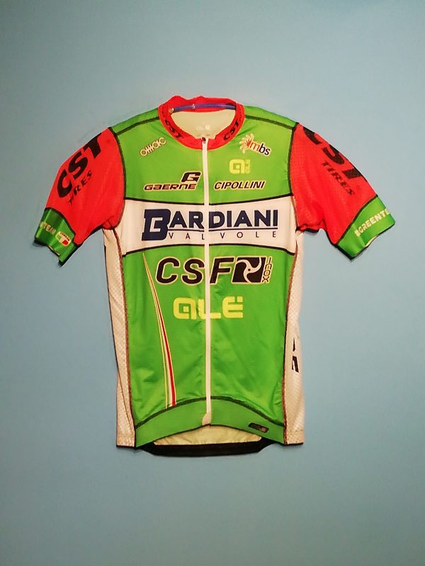 BARDIANI-CSF-ALE 2018